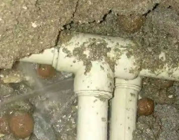 秦安测漏水多少钱