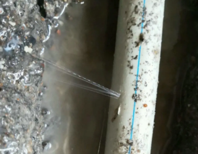 秦安测漏水哪家好