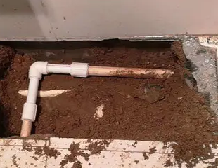 秦安测漏水哪家好