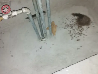 秦安卫生间测漏水价格明细