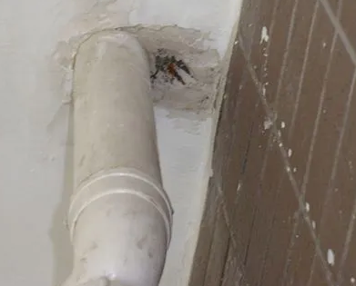 秦安漏水检测哪家好